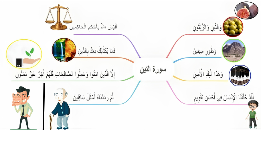 الخريطة الذهنية لسورة التين